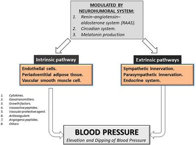 Supraphysiological Role of Melatonin Over Vascular Dysfunction of Pregnancy, a New Therapeutic Agent?